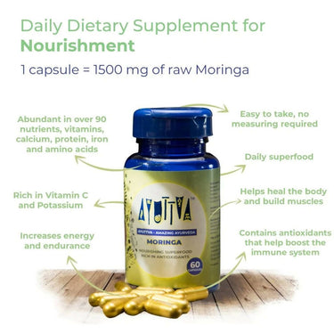 https://cdn.shopify.com/s/files/1/1857/6931/files/9gwviMd4Z4-728626.jpg?v=1736151235